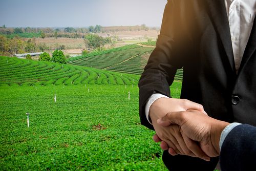 Real Estate Consultation Patna 2 Real Estate Consultation Patna